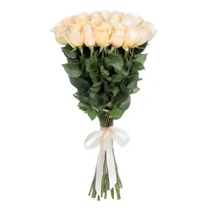 Охапка роз (кремовый)