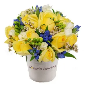 Солнечное утро